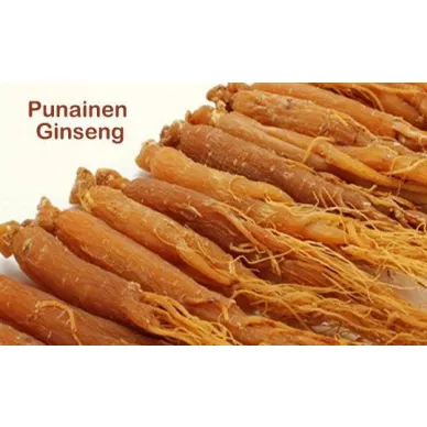 PINE BRAND Ginseng extractum juoma 10x10cc kuva