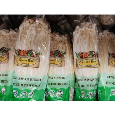 25677264-enoki-mushrooms-9a23c4538470f61c kuva
