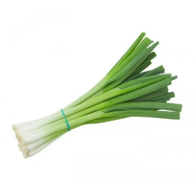 SpringOnion 800x800 image